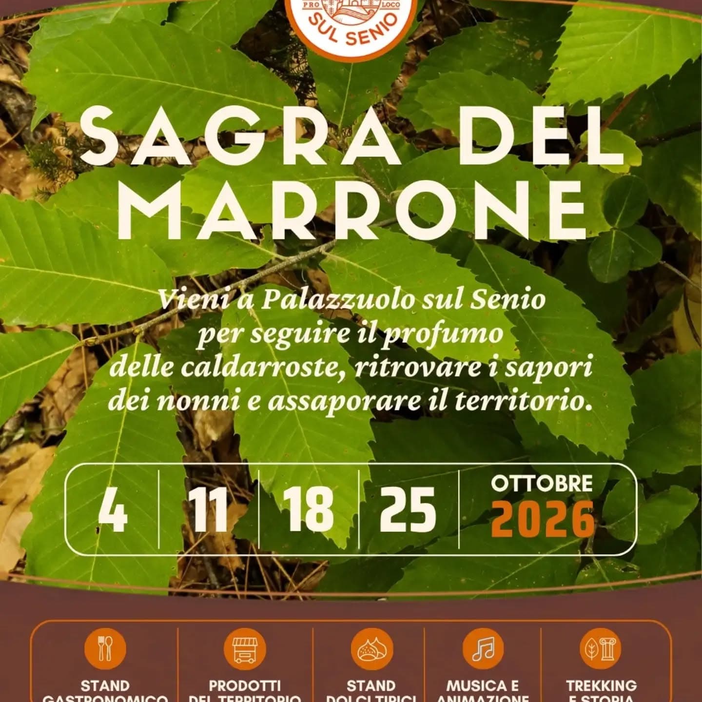Locandina di Sagra del marrone, Palazzuolo sul Senio